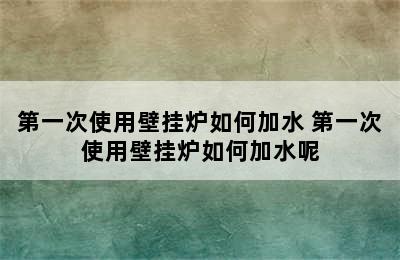 第一次使用壁挂炉如何加水 第一次使用壁挂炉如何加水呢